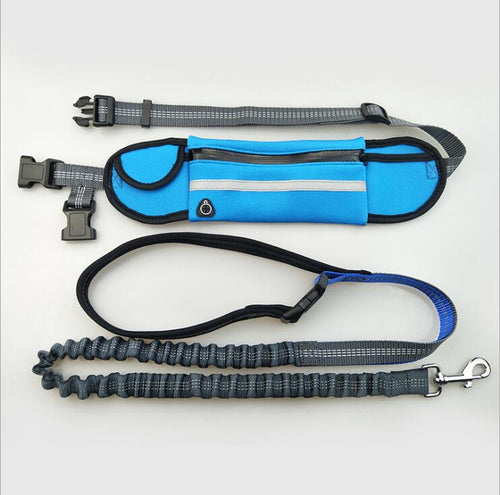 Blue waist pouch with grey bungee dog leash