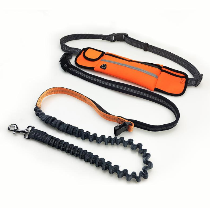Orange waist pouch with grey bungee dog leash