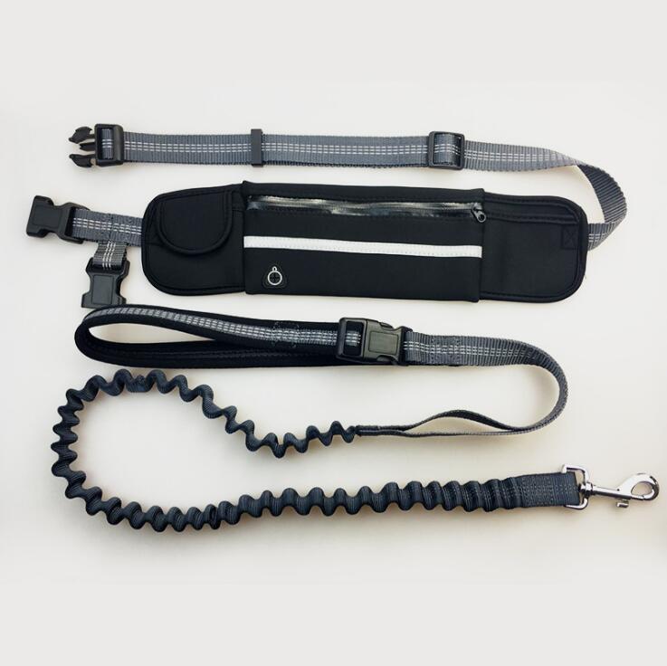 Black hands-free dog leash laid out with waist belt, zip pouch and bungee leash