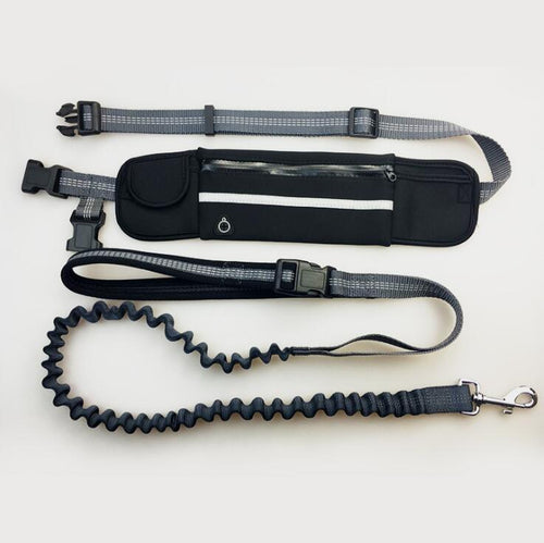 Black hands-free dog leash laid out with waist belt, zip pouch and bungee leash