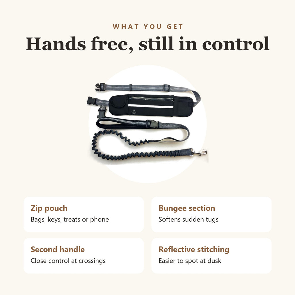 Hands-free dog leash features: zip pouch, bungee, second handle, reflective stitching