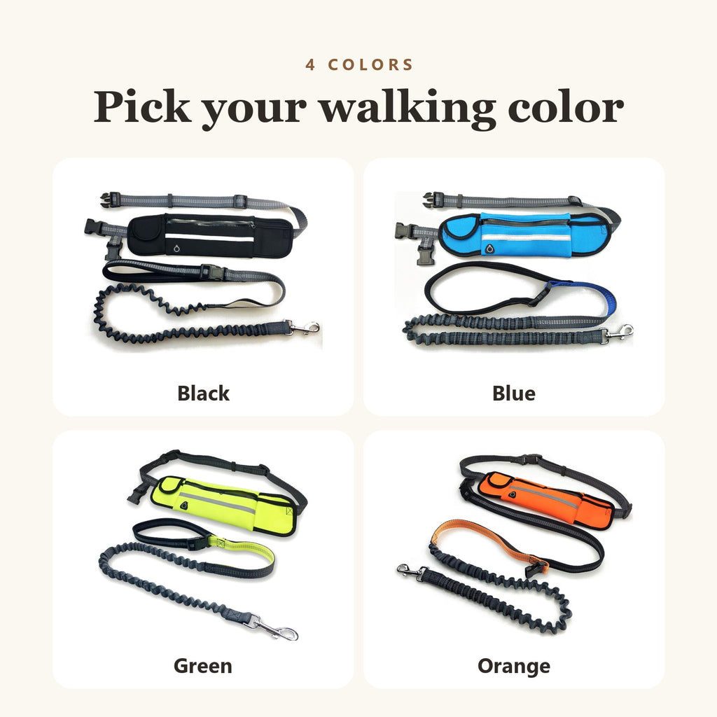 Hands-free dog leash in black, blue, green and orange